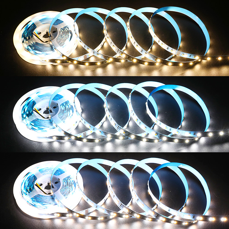 DC12V/24V 2835SMD 600LEDs Flexible LED Strips - Color Temperature Pure White+Warm White Series DC12V/24V 2835SMD 600LEDs Flexible LED Strips - Color Temperature Pure White+Warm White Series